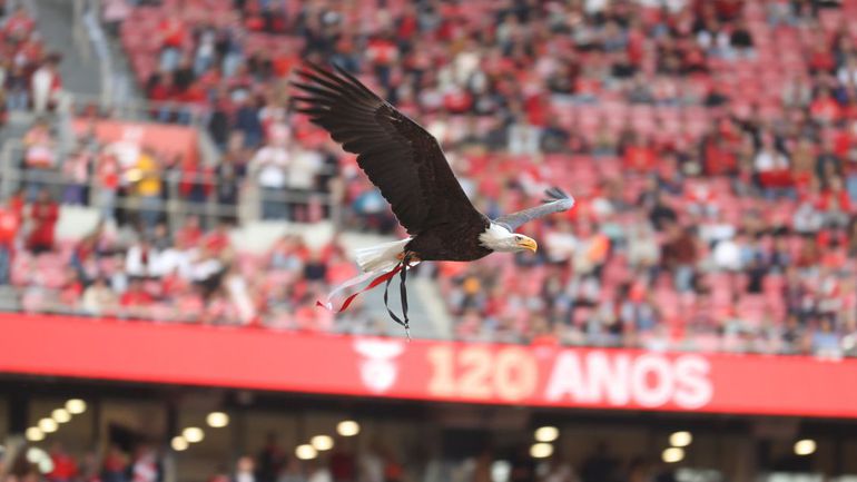Americanos detêm mais de 5% da SAD do Benfica