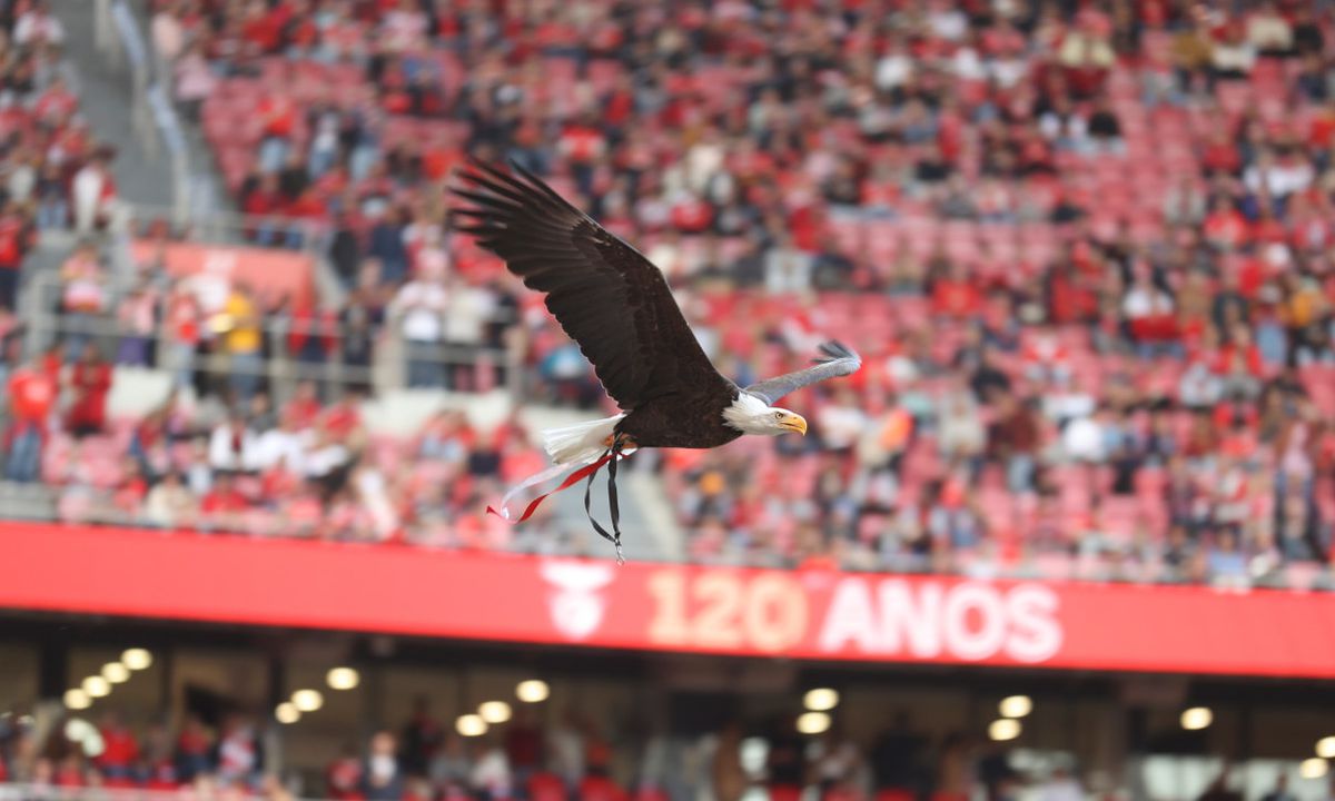 Americanos detêm mais de 5% da SAD do Benfica