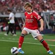Andreas Schjelderup afirma-se no Benfica