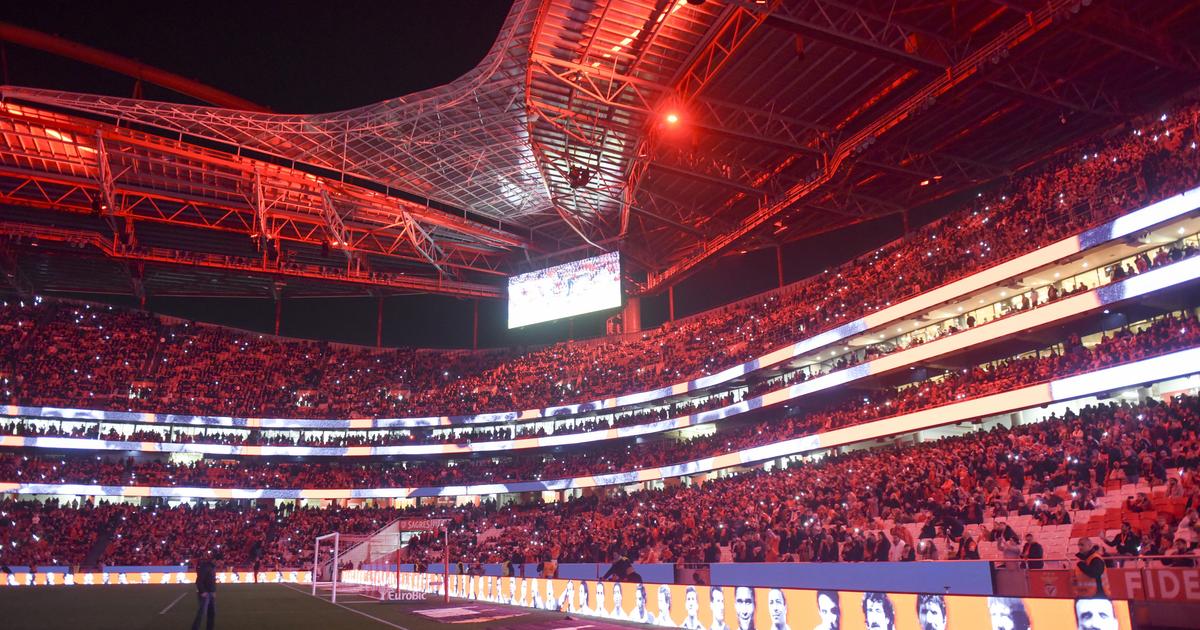 'Novas 7 Maravilhas de Portugal': Benfica anuncia candidatura da Luz