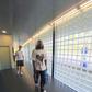 Jogadores do FC Porto convocam adeptos para a festa nos Aliados