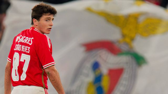 «João Neves poderá ser um caso mais ou menos parecido com o de Vitinha»