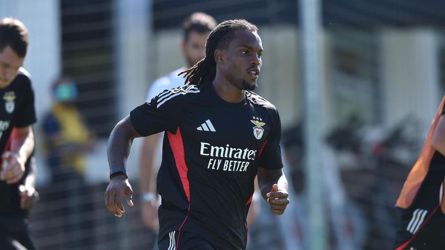 «É ingrato exigir mais ao Renato Sanches»