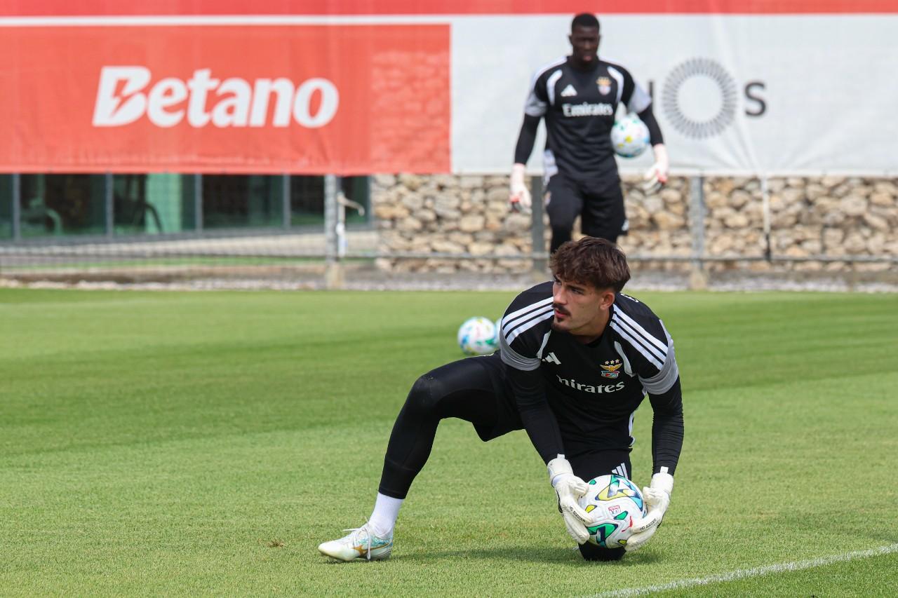 Diogo Ferreira