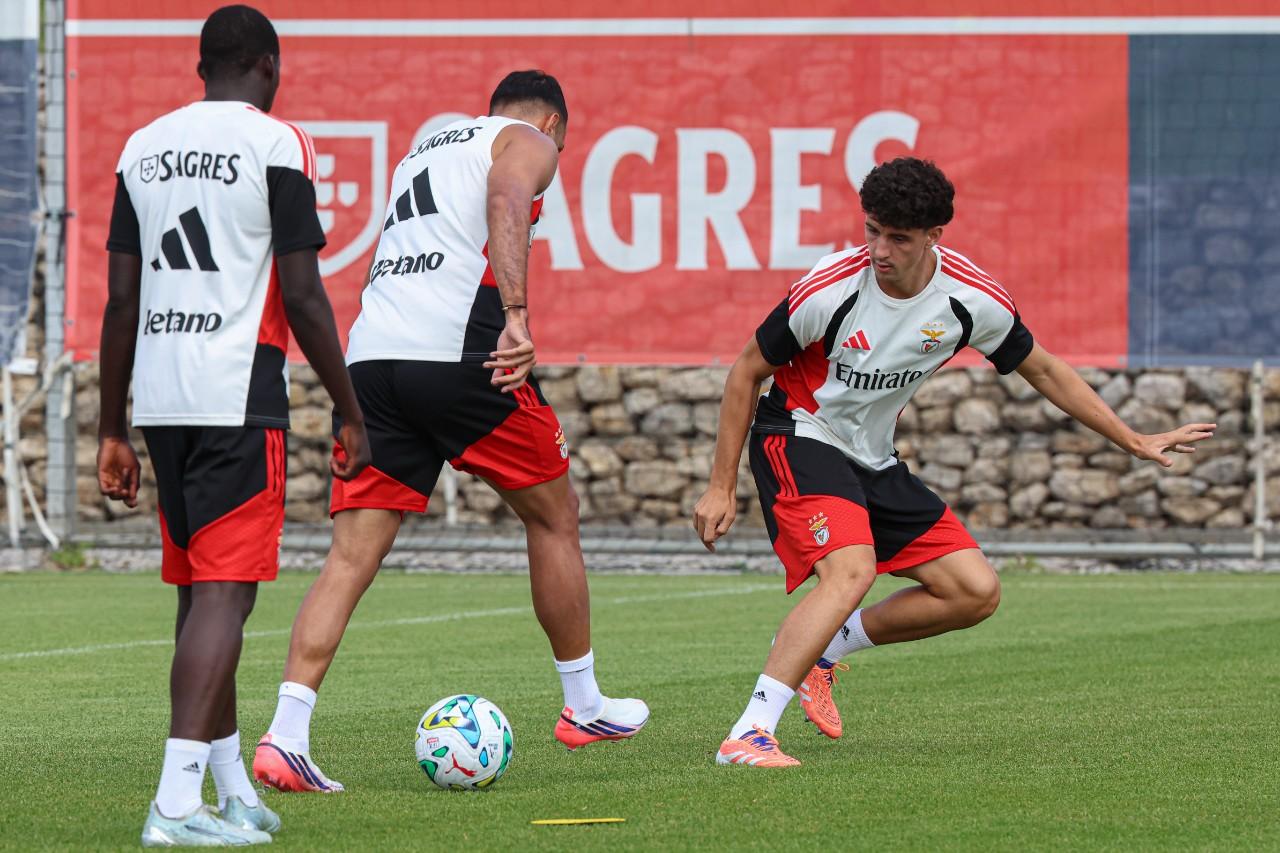 Manu defende Pavlidis