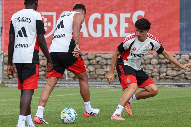 Manu defende ação de Pavlidis — Foto: SL Benfica