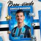 Danilo Barbosa no Grêmio