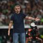 Rui Borges no banco do Sporting no jogo frente ao V. Guimarães - Foto: Miguel Nunes
