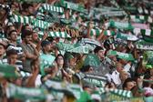 Adeptos do Sporting prometem forte apoio na quarta-feira em Alvalade - Foto: Miguel Nunes