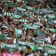 Adeptos do Sporting prometem forte apoio na quarta-feira em Alvalade - Foto: Miguel Nunes