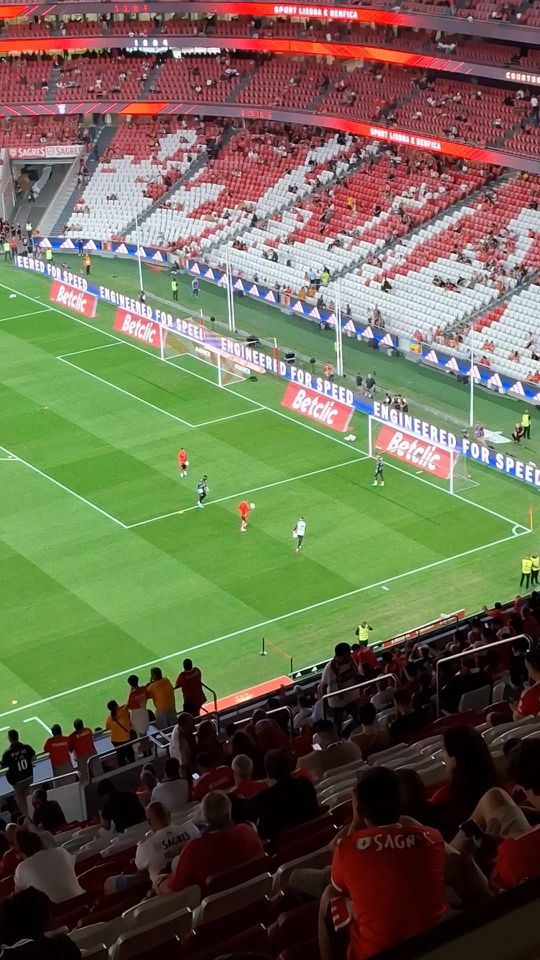 A nova preparação dos guarda-redes do Benfica