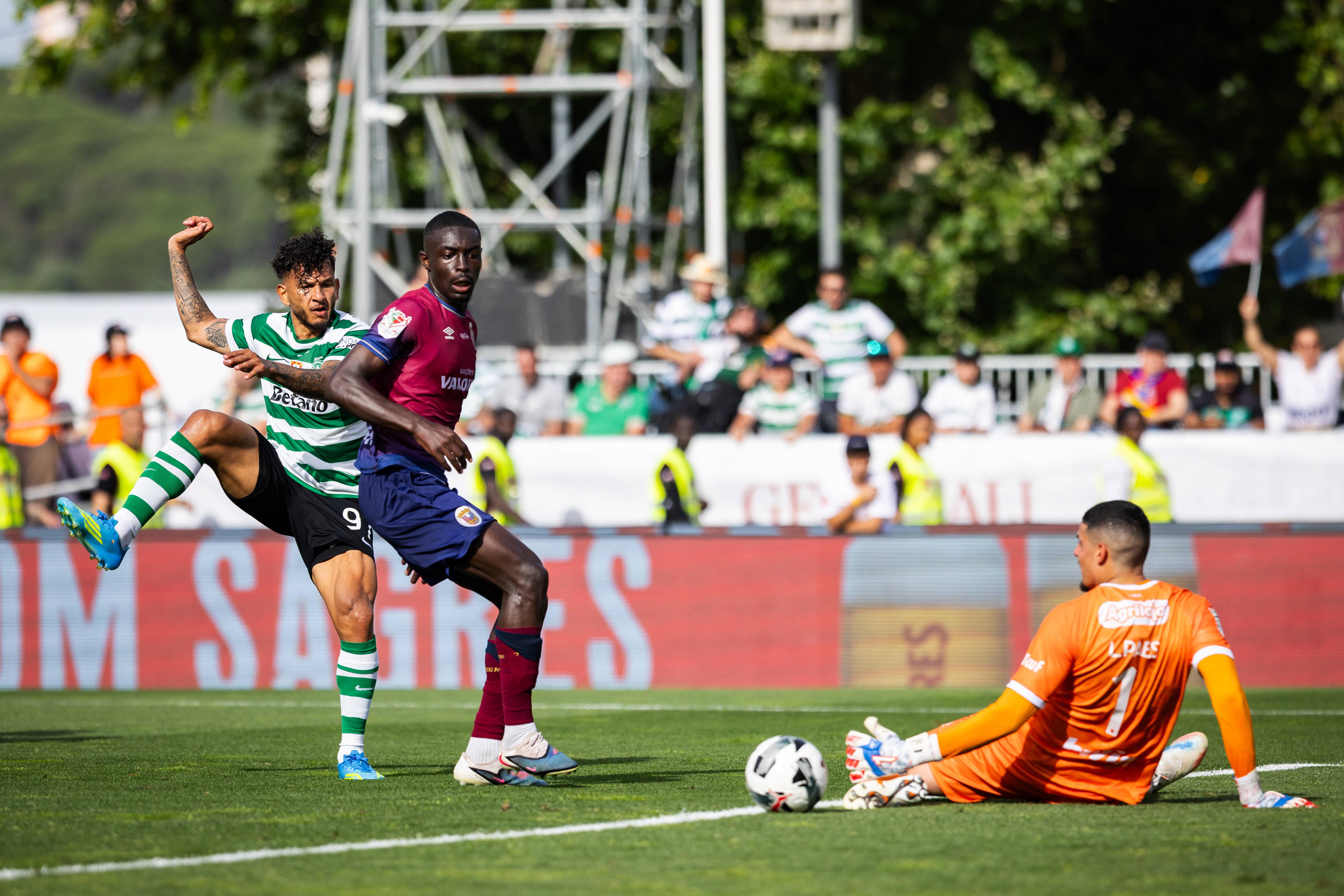 Mohamed Ali Diadié destacou-se na Liga 2 e na Taça de Portugal e Torreense resistiu à venda... renovando-lhe o contrato