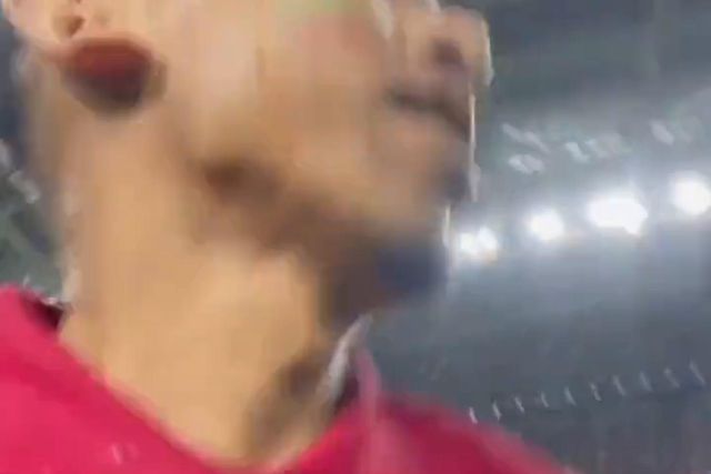 O vídeo do adepto que invadiu o relvado para abraçar Ronaldo