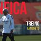 Acompanhe o treino aberto do Benfica