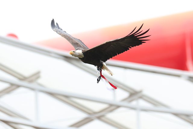 MAG do clube da Luz emitiu comunicado esta terça-feira - Foto: SL Benfica