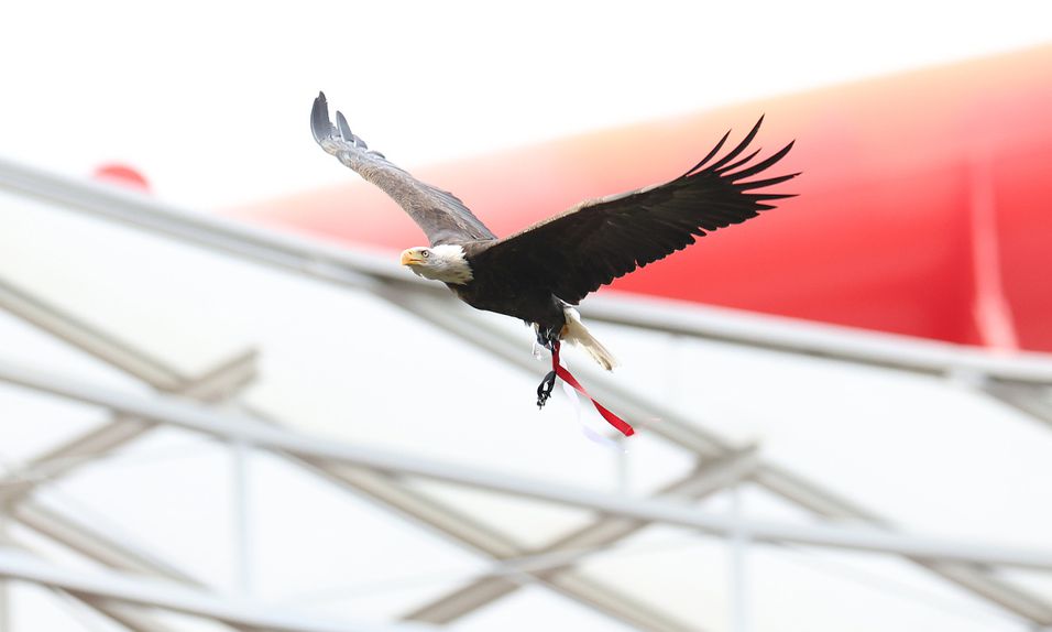 MAG do clube da Luz emitiu comunicado esta terça-feira - Foto: SL Benfica