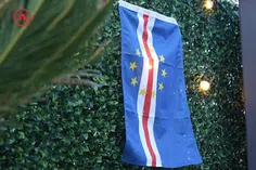 Cabo Verde no Mundial! Tubarões à solta