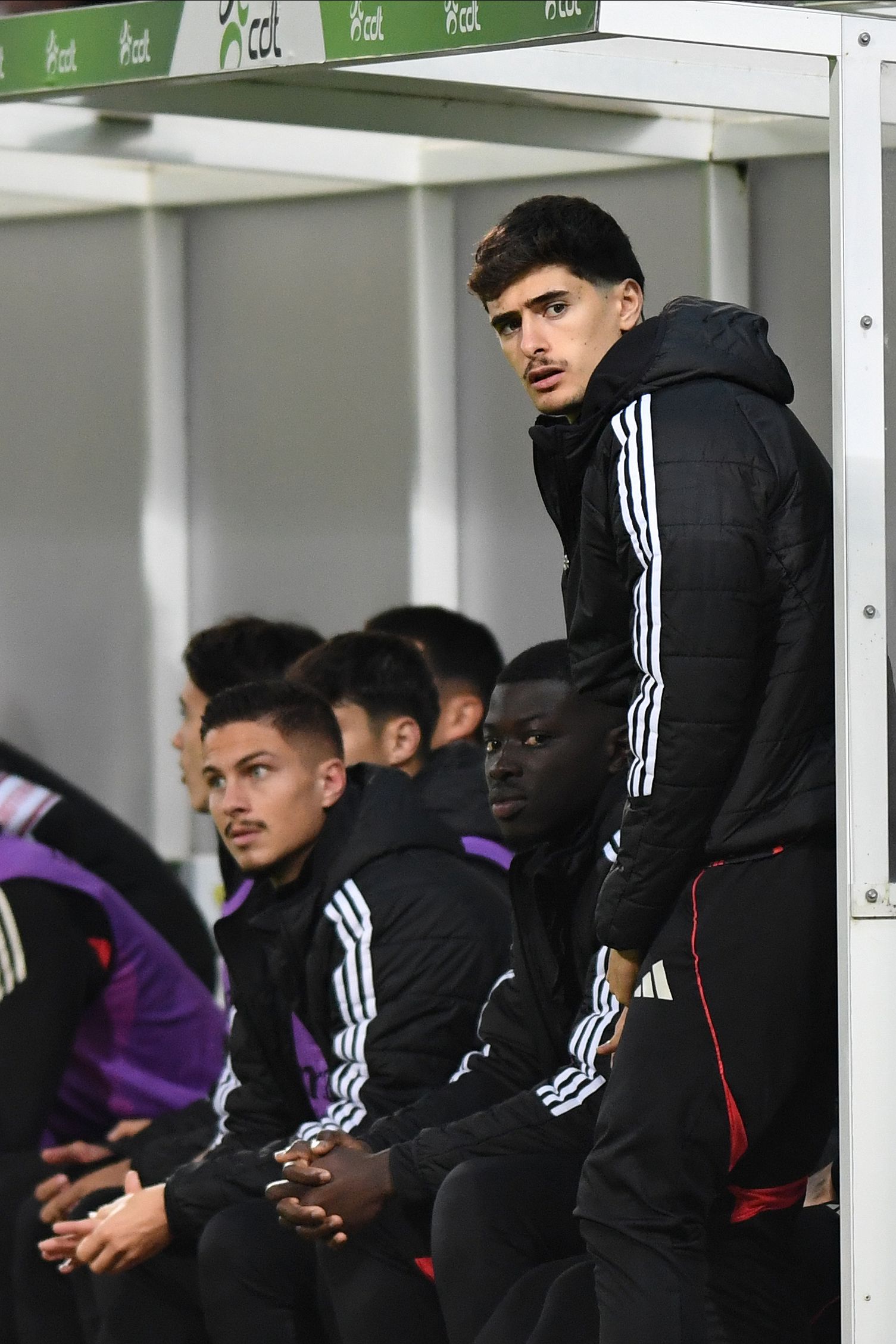 António Silva no banco de suplentes do Benfica - Foto: Rogério Ferreira / Kapta+