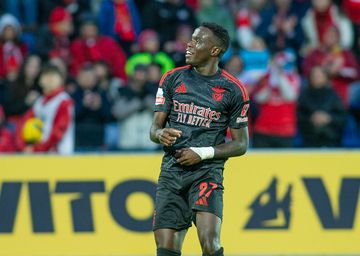 Destaques do Benfica: esta ilha é mesmo a praia de Bruma