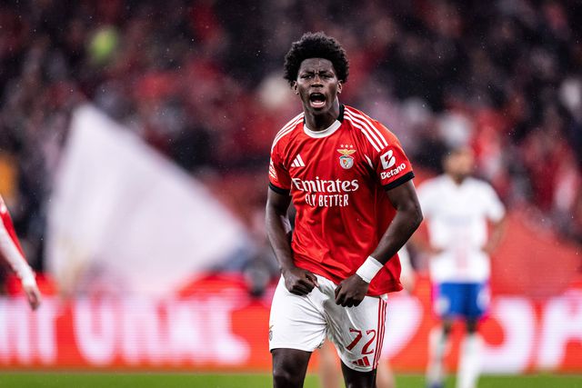 Anísio Cabral na equipa principal do Benfica - Foto: Imago