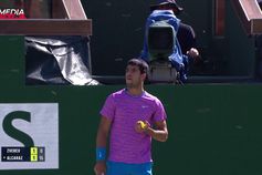 Vídeo: o enxame de abelhas que interrompeu o jogo Alcaraz-Zverev