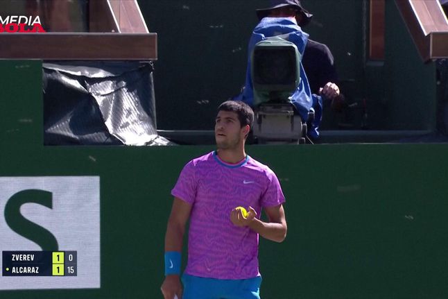 Vídeo: o enxame de abelhas que interrompeu o jogo Alcaraz-Zverev