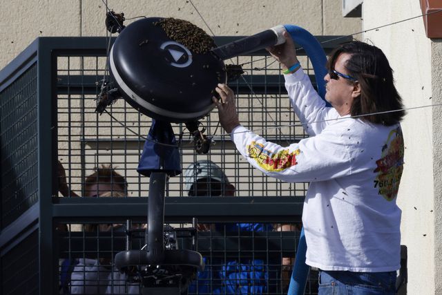 Depois de ataque de abelhas e a intervenção de um herói, Alcaraz esmagou Zverev
