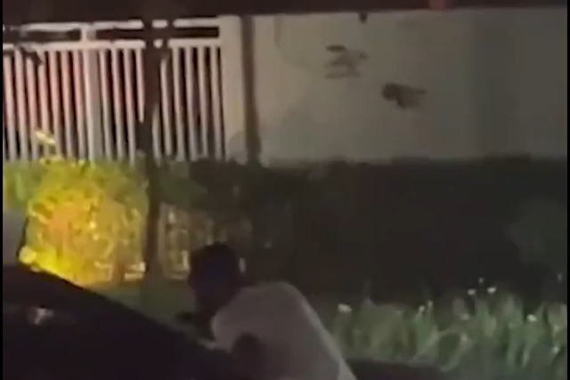 O momento em que campeão europeu pelo FC Porto destrói os retrovisores do carro da ex-namorada