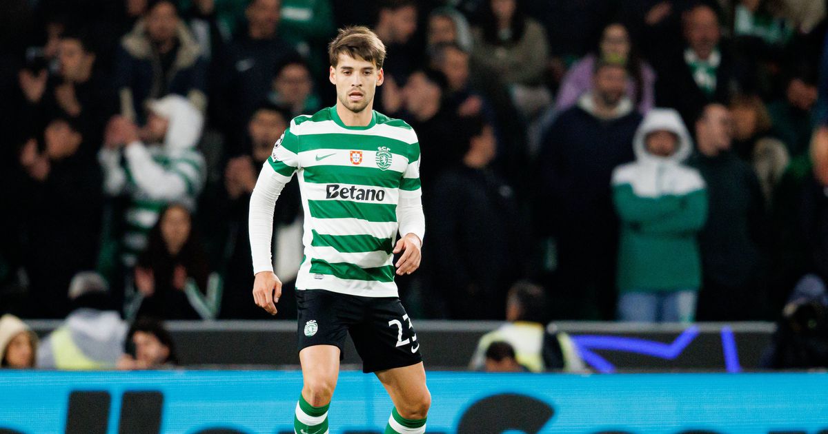 Daniel Bragança: «Há que salientar o excelente percurso que fizemos»