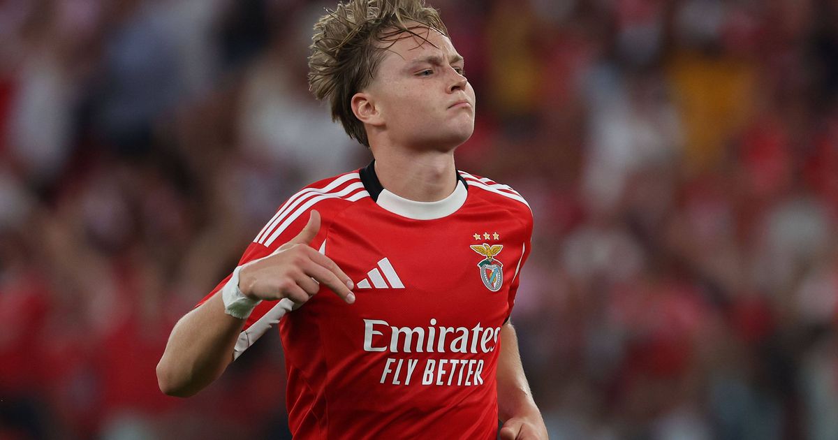 «Schjelderup tem sido o jogador mais decisivo do Benfica»