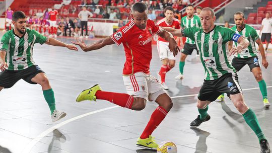 Liga Placard: Benfica-SC Braga nas meias-finais do play-off