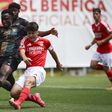 Taça Revelação: goleada leva Benfica às meias-finais
