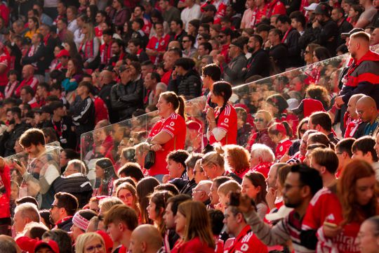 Benfica: orçamento aprovado 'à risca'
