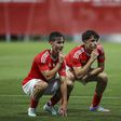 Benfica sagra-se tricampeão nacional de sub-17