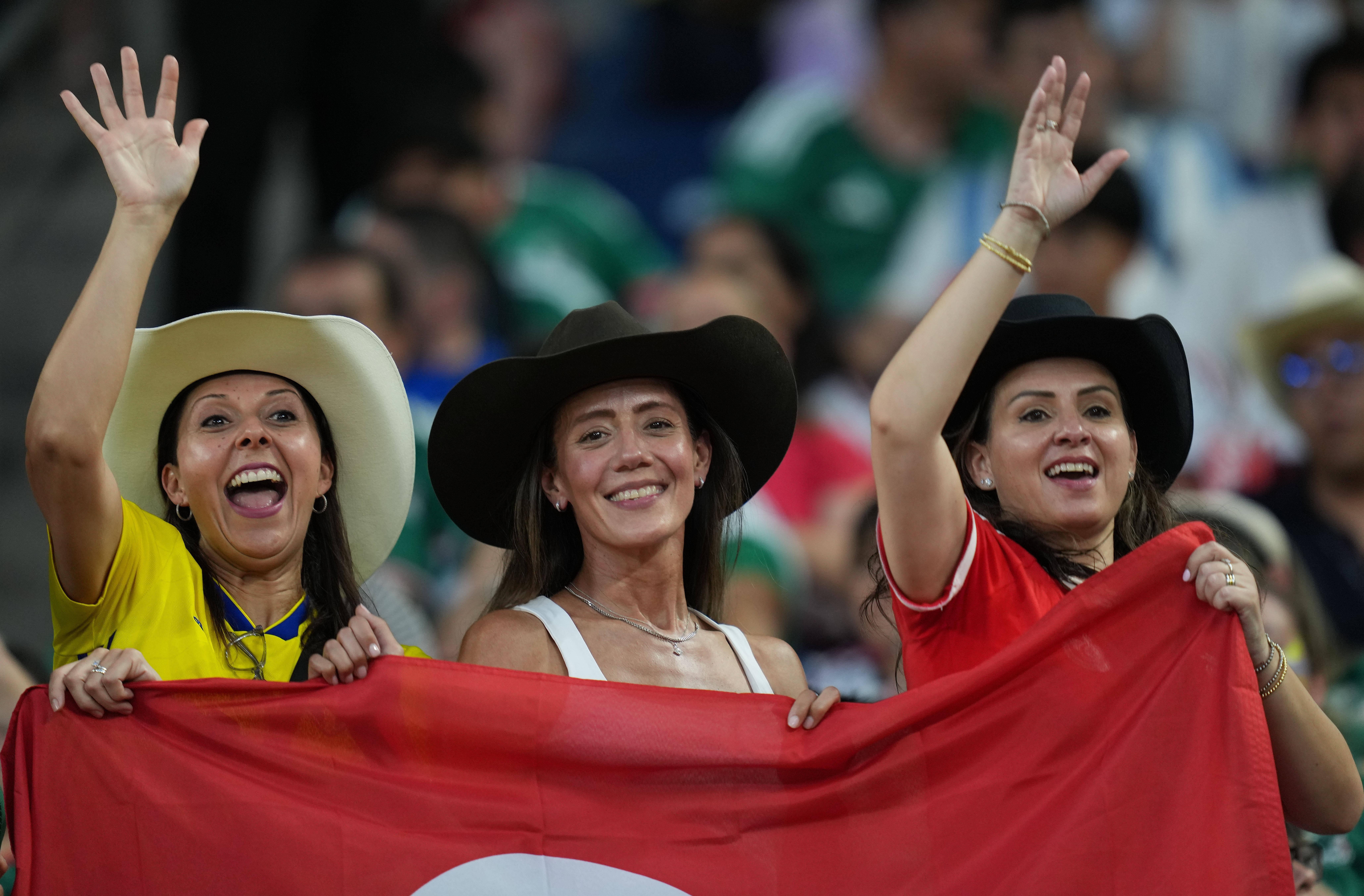 As melhores imagens do Suécia-Tunísia - foto: Imago
