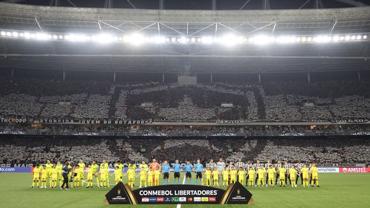 Botafogo bane adepto por gestos racistas no jogo com o Palmeiras