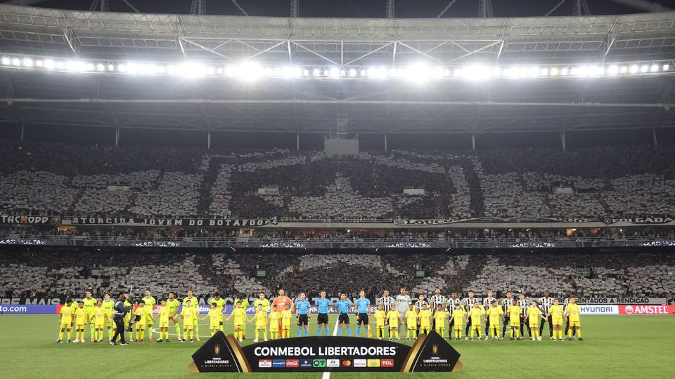 Botafogo bane adepto por gestos racistas no jogo com o Palmeiras