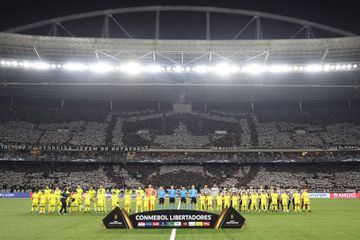 Botafogo bane adepto por gestos racistas no jogo com o Palmeiras