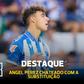 Quique Flores 'explode' com jogador que perde a cabeça ao ser substituído