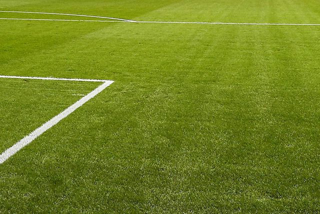 Árbitros e jornalistas agredidos vão ter apoio psicológico