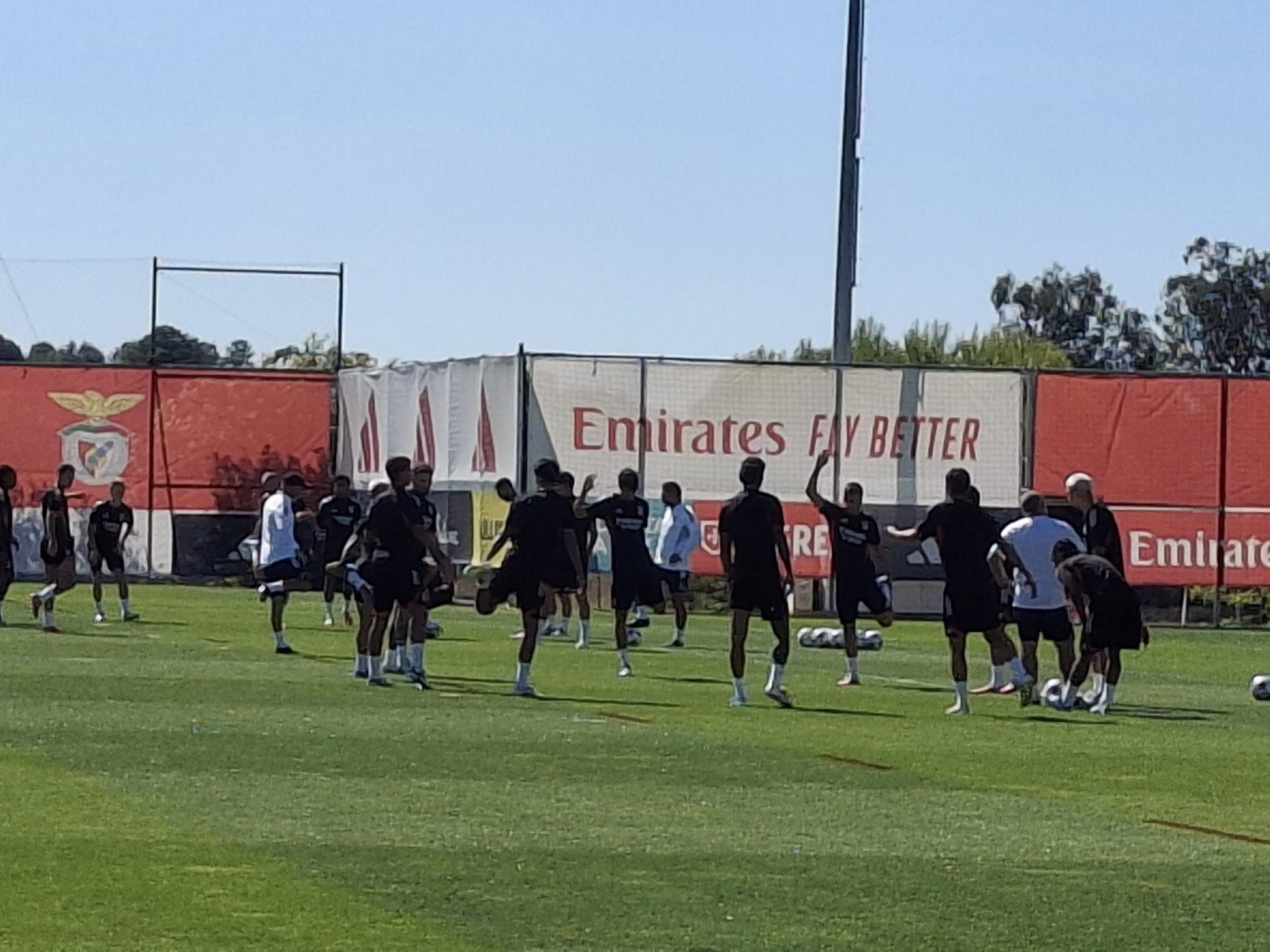 Treino do Benfica