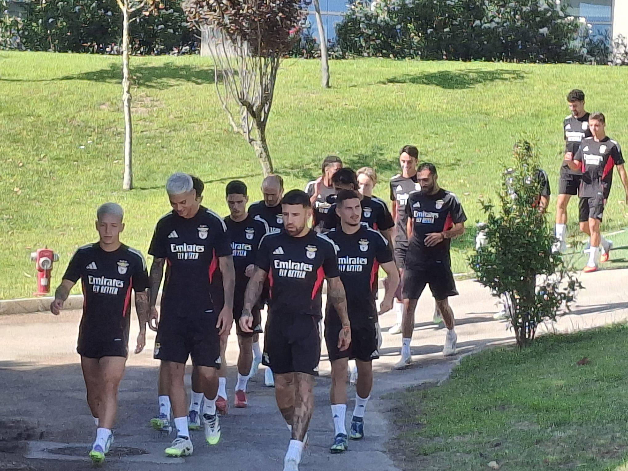 Treino do Benfica