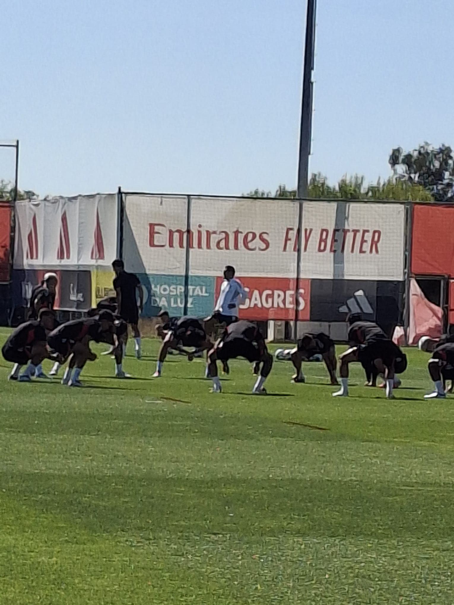 Treino do Benfica