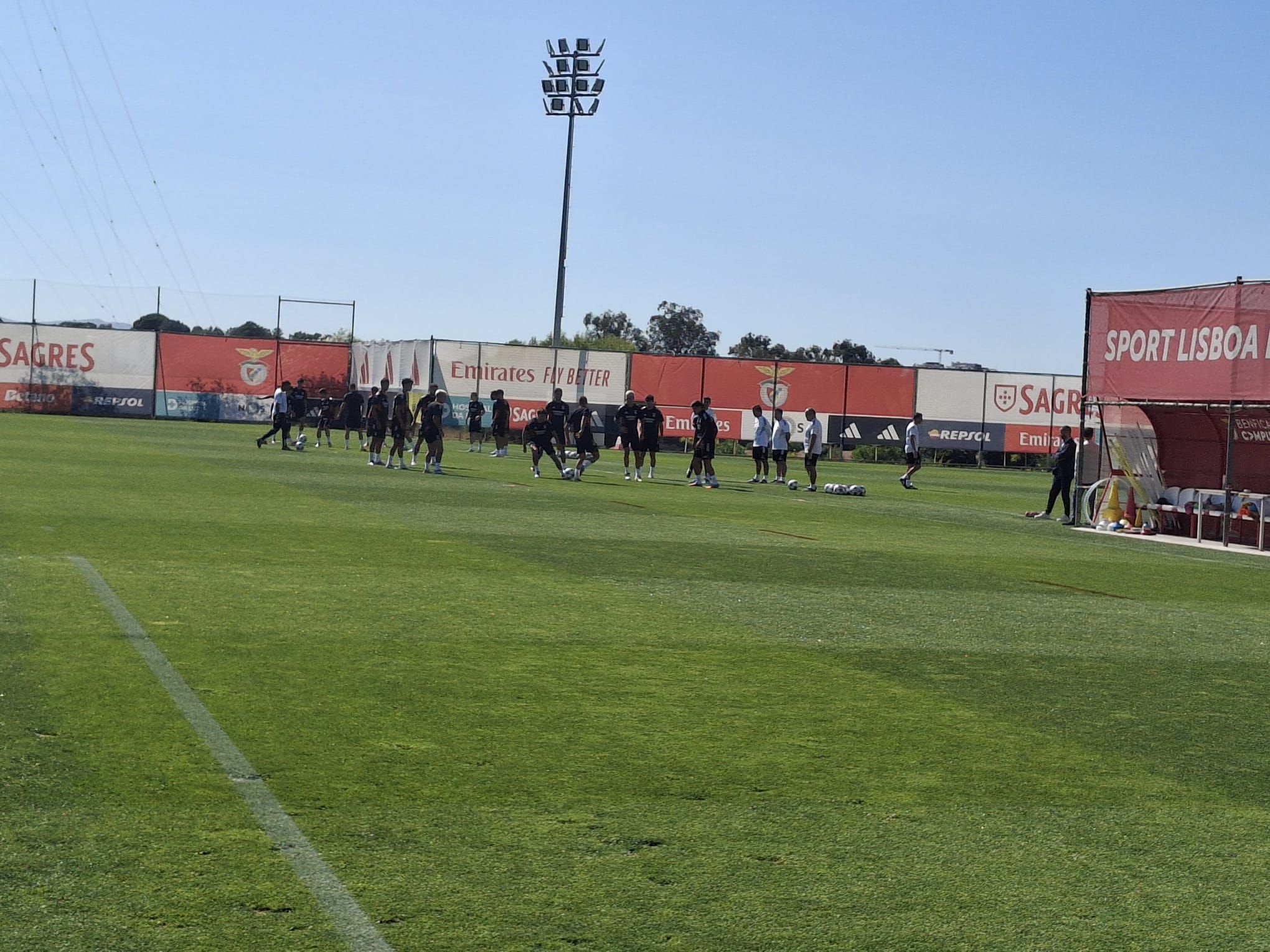Treino do Benfica
