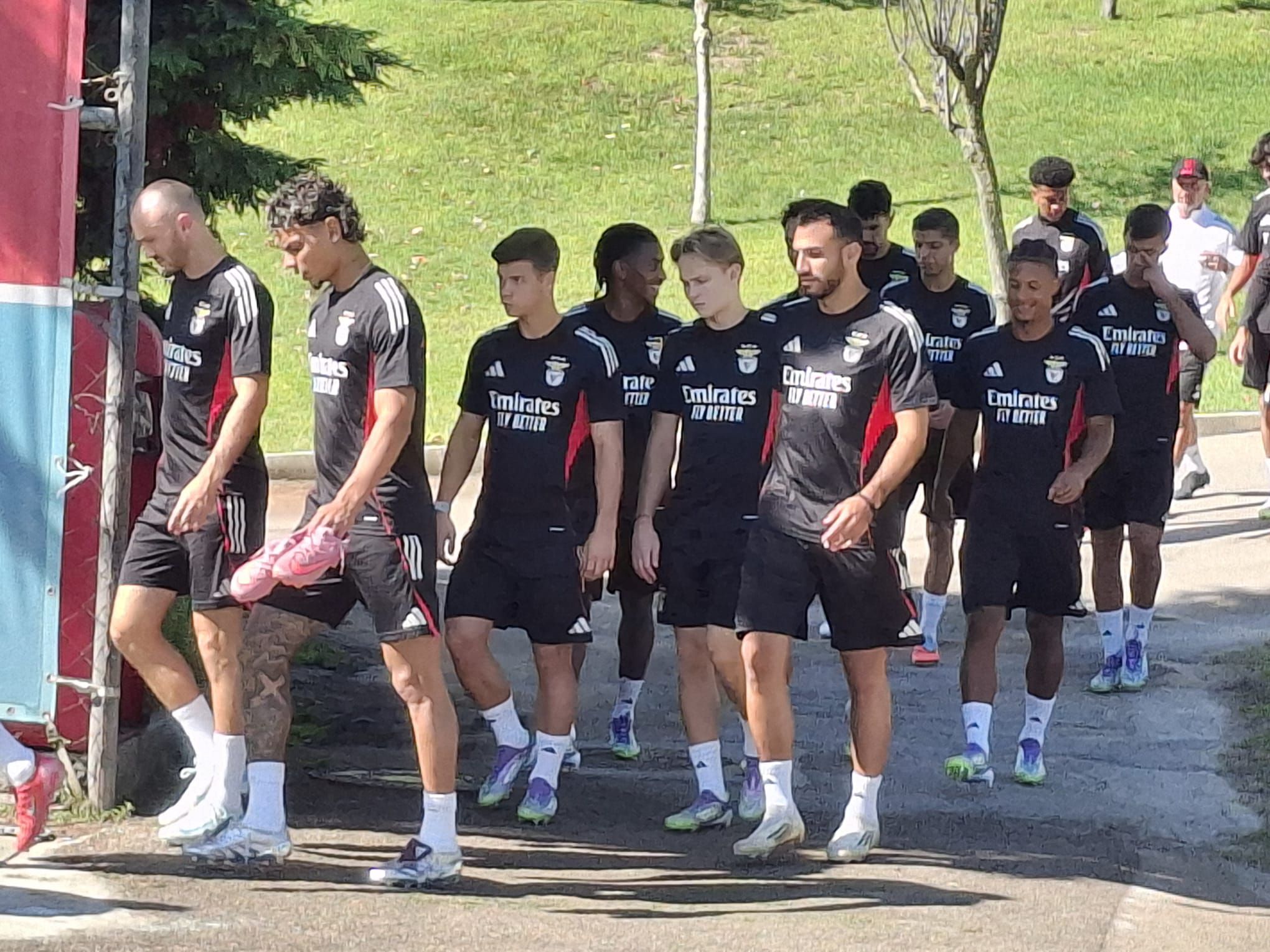 Treino do Benfica