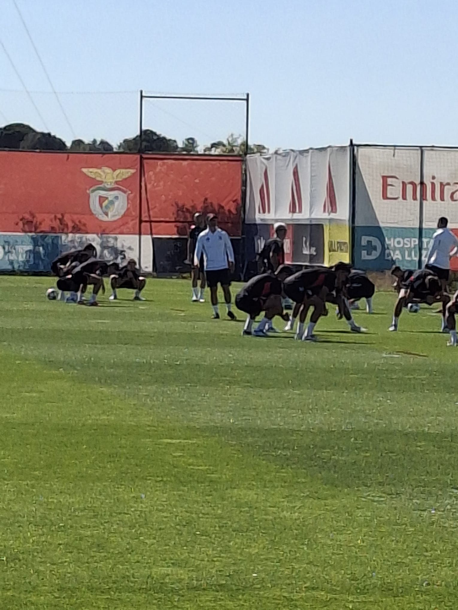 Treino do Benfica