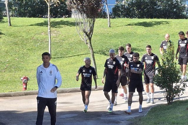 Seis ausências no treino do Benfica antes do Qarabag