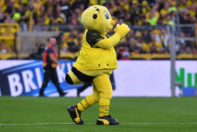 Alemães lideram ranking de adeptos em 2024/25