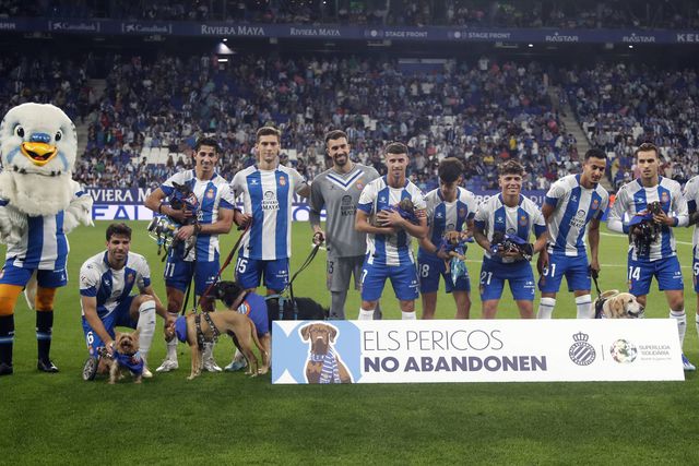 Vídeo: Jogadores do Espanhol entram no relvado com cães para condenar abandono
