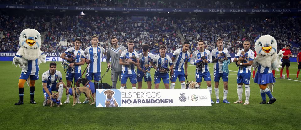 Vídeo: Jogadores do Espanhol entram no relvado com cães para condenar abandono